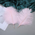 12pcs Natural Light Pink Ostrich Feathers 12-14inch (30-35cm) for Wedding Party Centerpieces?Flower Arrangement and Home Decoration....