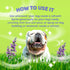Dirty Dog Beauty Club - Humpday Spray for Dogs & Puppies - Odor Eliminating Mist with Organic Essential Oils - Balances Skin & Fur Freshness - 100...