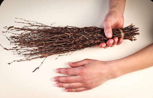 50 pcs Birch Branches for Vases, Decoration for Sale. Natural Birch Twigs for centerpieces. Floral Stick....