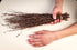 50 pcs Birch Branches for Vases, Decoration for Sale. Natural Birch Twigs for centerpieces. Floral Stick....