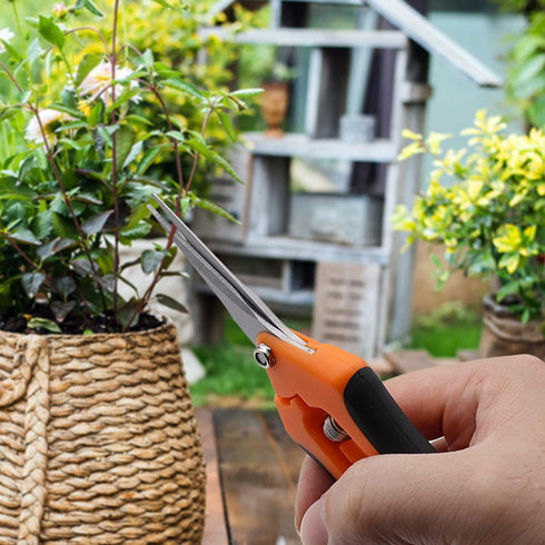 Gardening Scissor 2 Set with Sharp Stainless Steel Blade Garden Shears for Cutting Flowers Trimming Plants of Yard Florist Flower Rose Herb Hedge ...