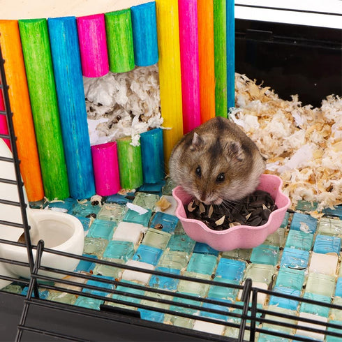 3 Pcs Hamster Food Bowl Small Cute Shape Food Dish for Hamster Rat Mice and Other Small Animals (Pink, Green and Blue)...