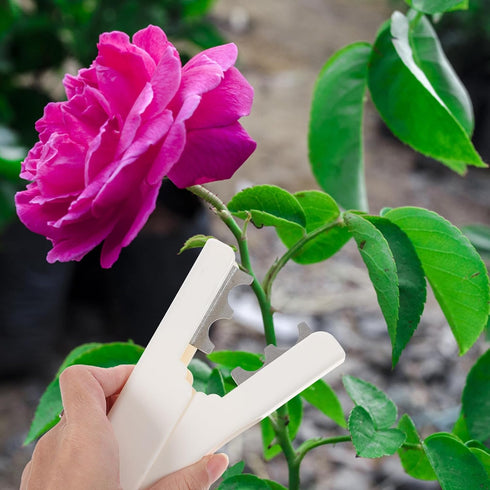 Abaodam Leaf Thorn Stripper Tool Roses Thorn Remover Professional Tree Pruner Hand Tools DIY Bouquet Garden Florist Tool for Gardening Flower Arra...