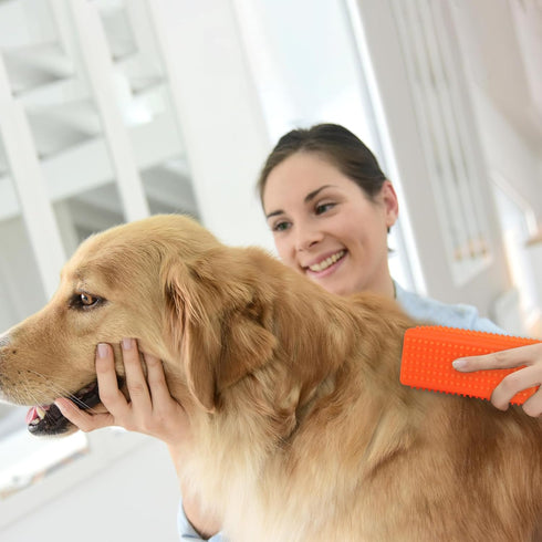 2pcs Silicone Pet Hair Brushes, Convenient Block Roller Cleaner Reusable Pet Hair Carpet Brush Portable Carpet Cleaner Roller for Furnishings Sofa...