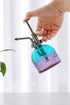 Glass Plant Mister Spray Bottle, 6.3inch Tall Vintage Plant Spritzer Watering Can, Succulent Watering Bottle with Top Pump, Plant Mister Glass Wat...