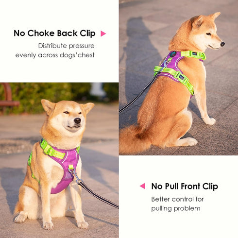 PHOEPET No Pull Dog Harness, Unique Colors Reflective Adjustable Dog Vest, with Soft Training Handle Metal Clips for Small Medium Large Dogs (Purp...