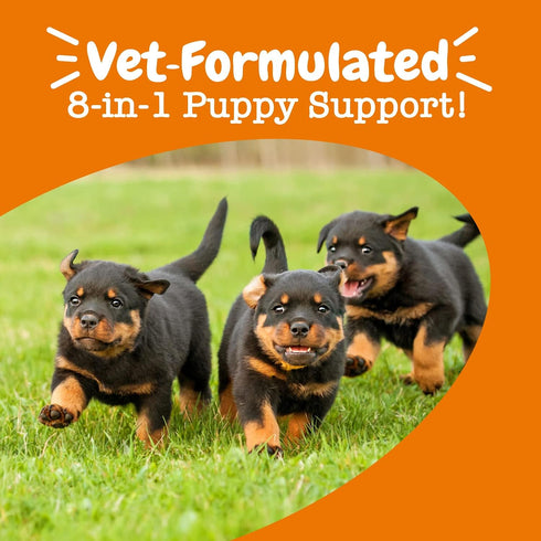 Zesty Paws Multivitamin Treats for Dogs - Glucosamine Chondroitin for Joint Support + Digestive Enzymes & Probiotics - Grain Free Dog Vitamin for ...