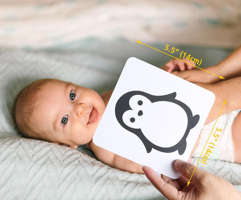 ZazzyKid Baby Visual Stimulation Flash Cards: 50 Pages Black and White High Contrast Baby Cards 0-3 Months Newborn Sensory and Brain Development T...