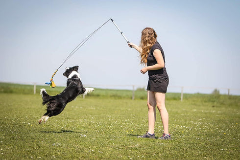 Flirt Pole for Dogs - Safe & Strong for Large Breeds w/Non-Bungee Cord - Spring Pole for Tug of War, Interactive Play & Puppy Training - Heavy-Dut...
