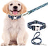 Dog Collar and Leash Set for Daily Outdoor Walking Running Training,Design for Large Boys Girls Dogs Cats Pets(L)...
