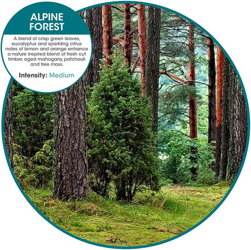 Fresh Products myfreshe Plug-in Air Freshener, Worry-free No Heat, No Glass, Dry Fragrance Refills, Made in the USA - Alpine Forest 2 pack...