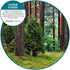 Fresh Products myfreshe Plug-in Air Freshener, Worry-free No Heat, No Glass, Dry Fragrance Refills, Made in the USA - Alpine Forest 2 pack...