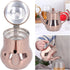 Teapots, 500ML Rose Gold Stainless Steel Teapot Integrated Cover and Anti?scalding Handle Design Tea Pot with Removable Infuser Suitable for Confe...