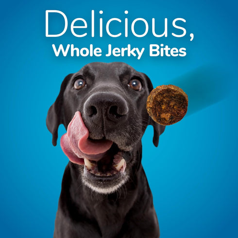 Fruitables Small Dog Treats – Whole Jerky Bites – Healthy Treats – Turkey & Sweet Potato Flavor – 5 Ounces...