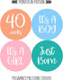 Pregnancy Weekly Belly Growth Stickers, 36 pcs - Purple Pink, Matte Finish, Cloth Surface, for Maternity Photo Sessions & Keepsakes...
