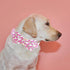 Elegant little tail Dog Collar, Watermelon Print Pet Collar Summer Dog Collar Durable Metal Buckle Dog Collars Cotton Pet Adjustable Dog Collars f...