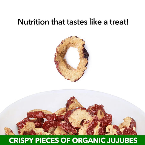 USDA Organic California Grown Pure Jujube Product | JUJUME Crisps | Sweet Jujube Chips | ZERO Added Sugar or Preservatives | All-Natural Healthy S...