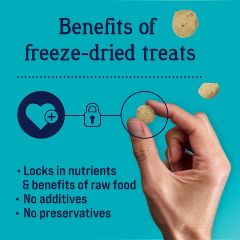 Stewart Freeze Dried Dog Food Topper, PuffTops, Made in USA with Real Bacon, Healthy, Natural, Freeze Dried Dog Treats, Bacon, Chicken, Apple, and...