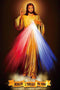 ROSTITCH Divine Mercy Cross Stitch Kits-Stamped Cross Stitch Kits for Adults Landscape Counted DIY Embroidery Needlepoint Kits Home Decor...