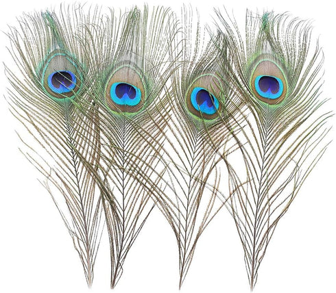 12 PCS Real Natural Peacock Eye Feathers 10-12 inch for DIY Craft, Wedding and Holiday Decorations...