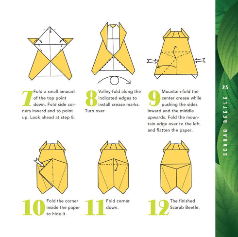 Origami Bugs Kit: Origami Fun for Everyone!: Kit with 2 Origami Books, 20 Fun Projects and 98 Origami Papers: Great for Both Kids and Adults...