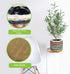 Plant Pots, Planters Indoor Plant Pot for All Home Garden Flowers Succulents Modern Round Decorative Flower Pot Indoor (Style 1)...