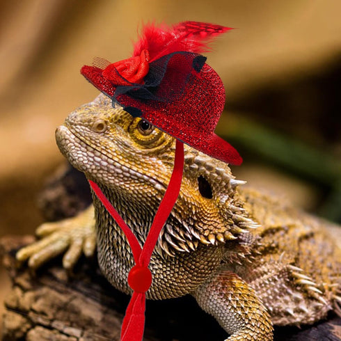 6 Pieces Chicken Hats for Hens fit Chicken Clothes Costumes for Chickens Hats for Chickens Bearded Dragon Costume Tiny Hats Small Animal Hats Doll...