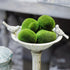 Nicunom 50 Pcs 5 Size Artificial Moss Rocks Decorative, Faux Green Moss Decor Balls for Floral Arrangements, Fairy Gardens and Crafting...