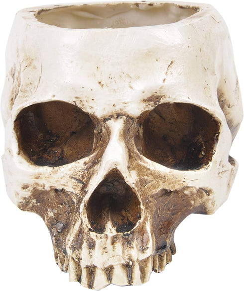 ChezMax Skull Planter Suger Holder Resin Flower Succulents Pot Skeleton Flowerpot Candy Bowl Halloween Dish Statue Sculpture Skeleton Indoor Outdo...