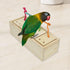 Bird Foraging Feeder Toy Training Intelligence Box Wooden for Parrot Budgie Parakeet Cockatiel Conure African Grey Cockatoo Amazon Finch Canary...