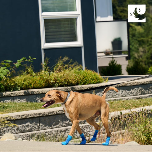 RC Pet Products Sporty PAWks Anti-Slip, Stylish, Functional, Protective Dog Socks | XX-Small, Olive Heather...