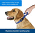 PetSafe Martingale Dog Collar with Quick-Snap Buckle - Small, 3/4 Inch, Raspberry...
