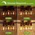 Outdoor String Lights 27FT G40 LED Globe Patio Lights with 13+1 Waterproof Edison Bulbs, Shatterproof Connectable Hanging Lights for Outside Backy...