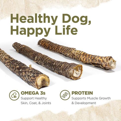 Natural Farm Power Fish Sticks Dog Chews (6”, 5-Pack), 2-in-1 Power Chews: Premium Beef Cheek Wrapped in Crunchy Tilapia Skin, Rich in Omega 3s, L...