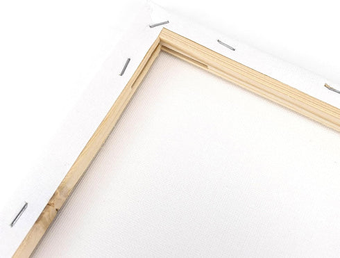 2 Pack Canvases for Painting with 8x10, Stretched Blank Canvas Framed White Canvas Boards Painting Supplies Art Board Paint Canvas Panels DIY Gift...
