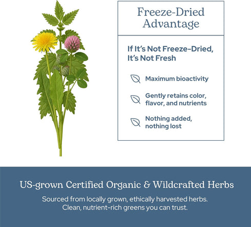 Eclectic Herb Lymphatic & Blood Cleanse | Freeze Dried Fresh, Whole Herbs, Naturally Concentrated | 45 Count...