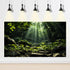 Green Forest Aquarium Background Trees Leaf Sunlight Water Mountain Terrarium Background Tranquil Scene Reptile Habitat Background Fish Tank Backg...