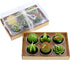 Swpeet 12Pcs Decorative Succulent Cactus Tealight Candles Kit, Cute Smokeless Succulent Plants Perfect for Candles Festival Wedding Props and Hous...