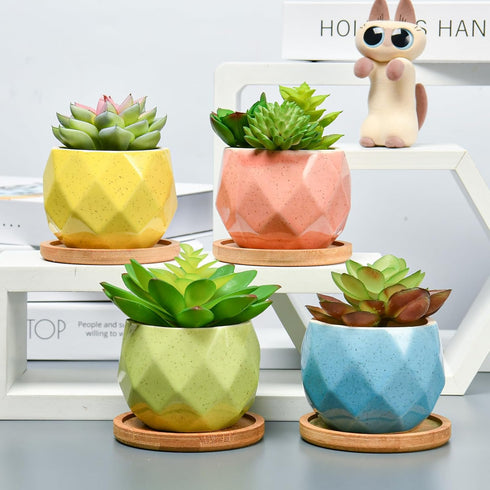 4 Pack Succulent Planters, Small Ceramic Plant Pots, Pots for Plants Indoor with Srainage (06)...