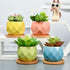 4 Pack Succulent Planters, Small Ceramic Plant Pots, Pots for Plants Indoor with Srainage (06)...