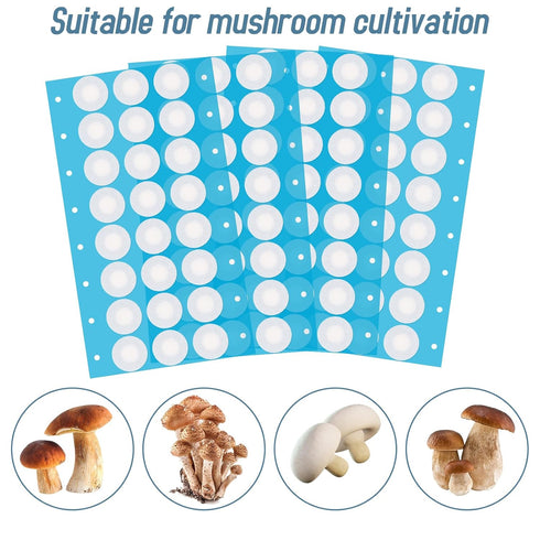 Synthetic Filter Paper Stickers 96 Pcs 20 mm 0.25 µm Filter Disc Mushroom Applied Under Wide Mouth Jar Lid for Mushroom Cultivation...