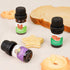 Bakery Fragrance Oils, Holamay Scented Oils for Soap & Candle Making, Aromatherapy Essential Oils for Diffuser (10 packs of 5ml) - Creamy Vanilla,...