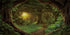 AWERT 30x18 inches Psychedelic Forest Terrarium Background Dim Old Trees Woodland Reptile Habitat Background Green Rainforest Aquarium Background ...