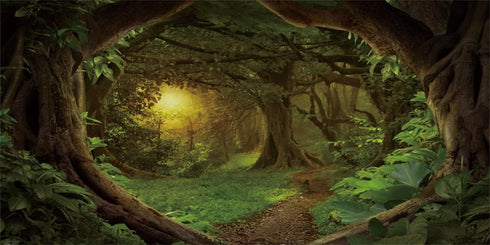 AWERT 72x24 inches Psychedelic Forest Terrarium Background Dim Old Trees Woodland Reptile Habitat Background Green Rainforest Aquarium Background ...