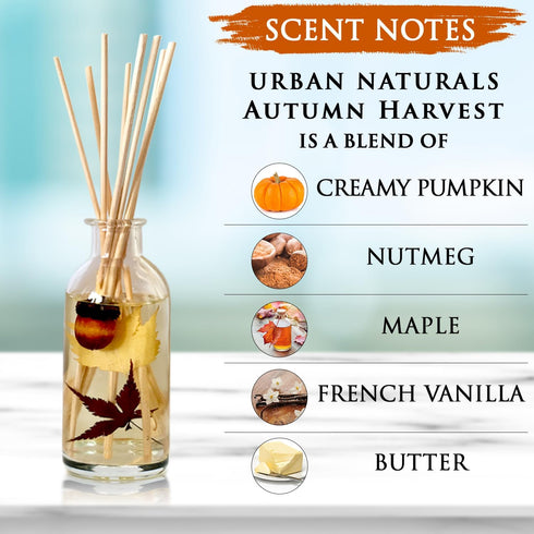 Urban Naturals Autumn Harvest Scented Oil Reed Diffuser | Fall Home Decor with Real Leaves & Botanicals | Creamy Pumpkin Pie, Nutmeg, Maple & Vani...