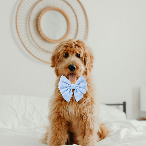 Adjustable Pet Bow Tie and Dog Collar for Lady Small Medium Large Dogs, Puppy Collar with Bowtie, Cute Lady Bow and Dog Collars - Comfort Soft Cot...