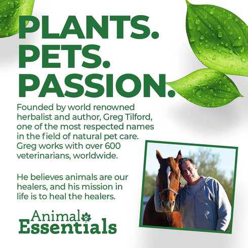 Animal Essentials Breathe EZ for Dogs & Cats - Pet Respiratory Support Supplement, Clear & Easy Breathing, Healthy Respiration - 1 Fl Oz...