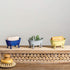 Mini Blue Bathtub Soap Dish...