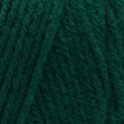 RED HEART Super Saver Yarn, 1 Pack, Hunter Green...