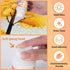 Diamond Painting Sealer 120ML/4 OZ, 5D Diamond Painting Glue, Diamond Art Glue Sealer for Diamond Painting, Puzzles and DIY Craft Hold & Shine Eff...